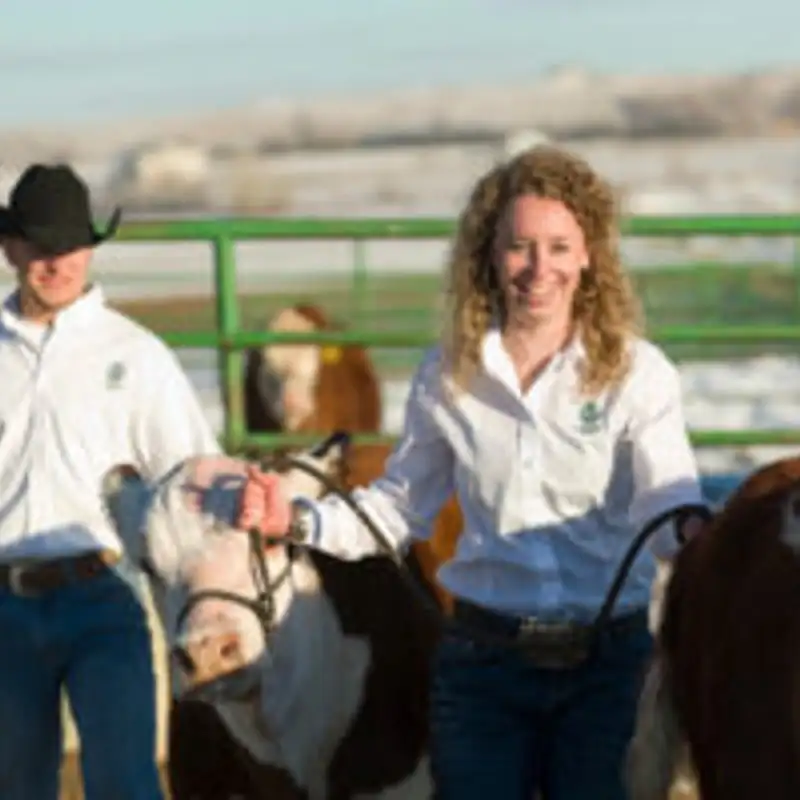 For CSU’s Seedstock Merchandising Team, success at the National Western Stock Show is in their genes