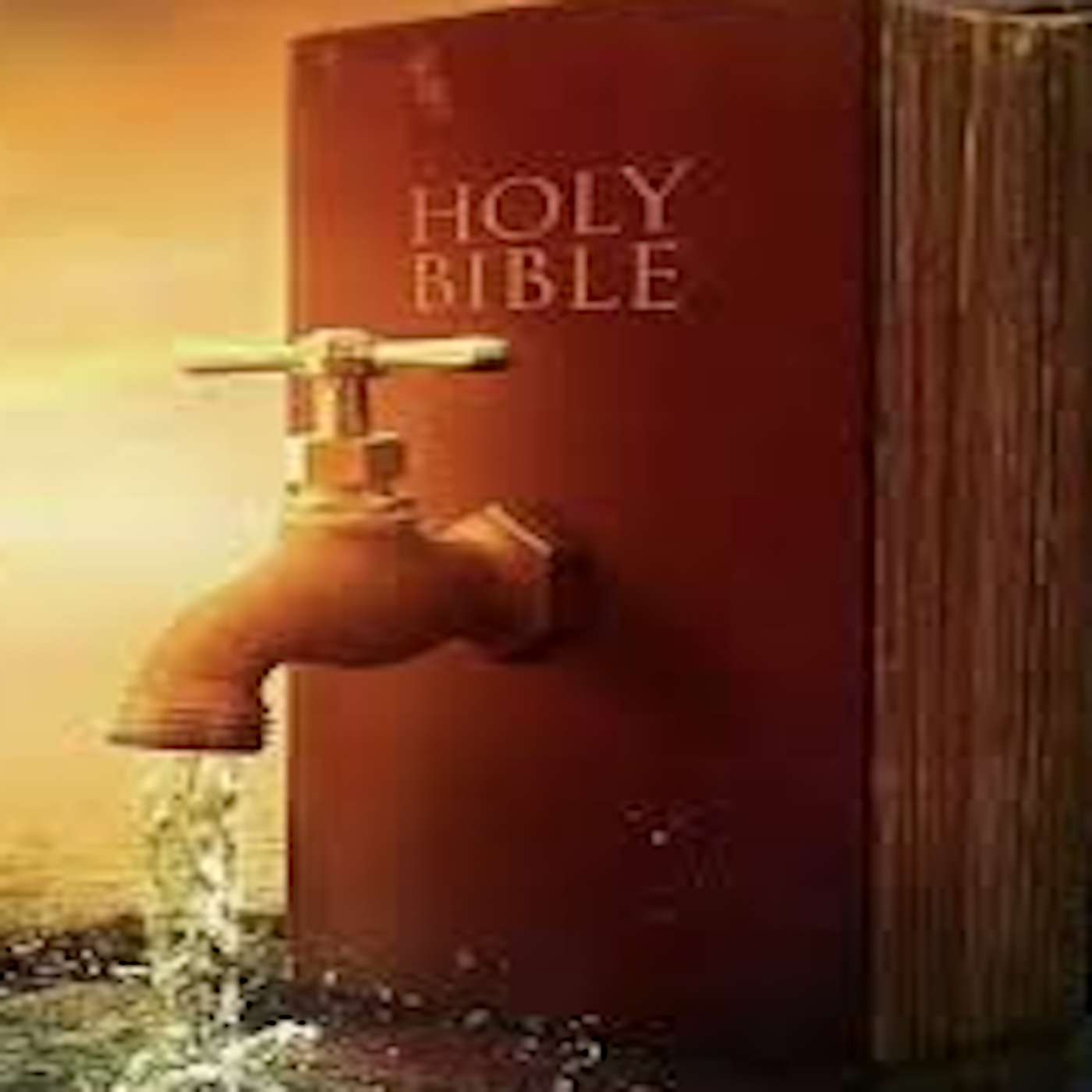 The Way Of The Water