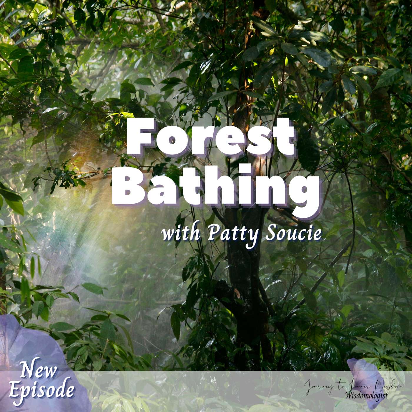 Journey to Inner Practical Wisdom