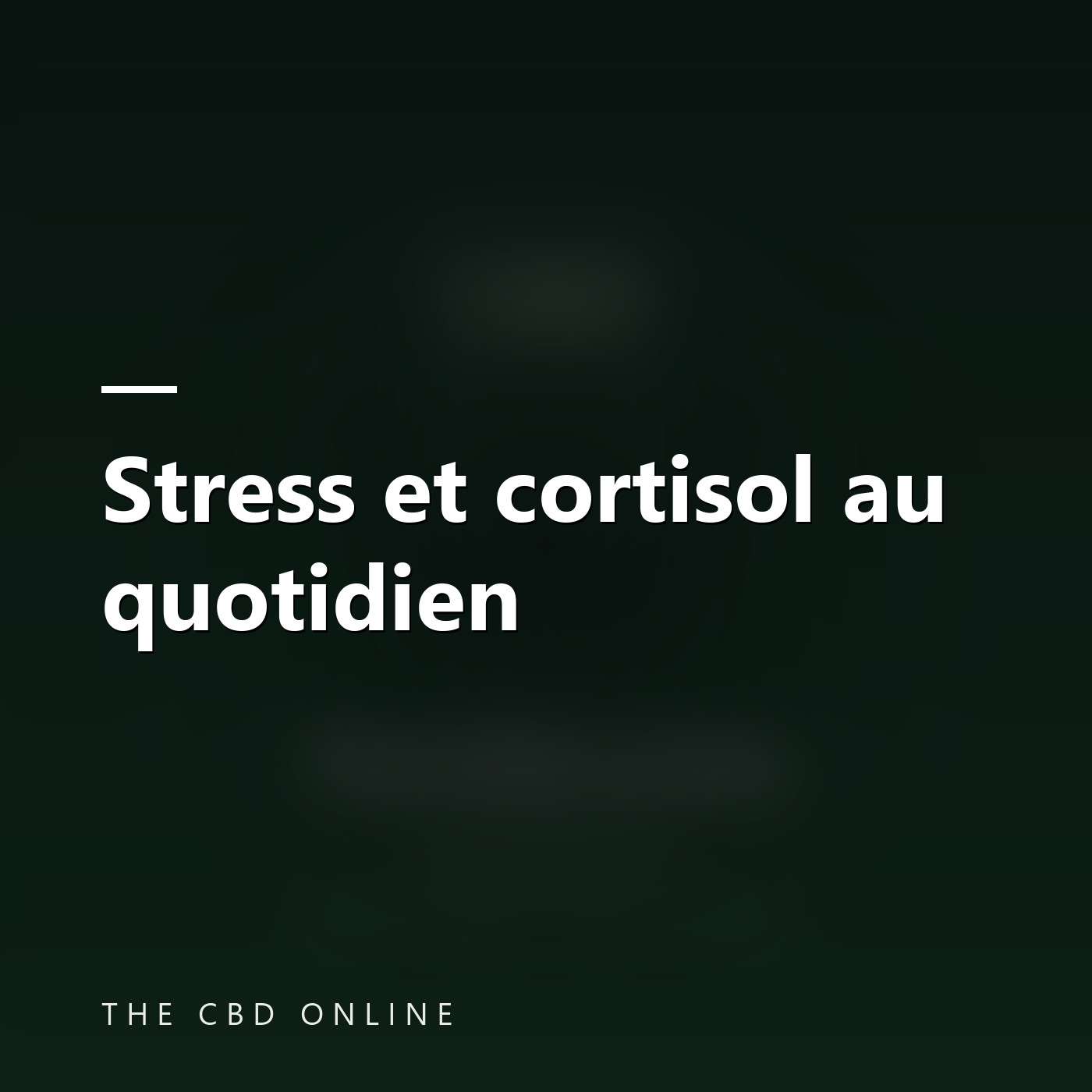 Stress et cortisol au quotidien episode artwork