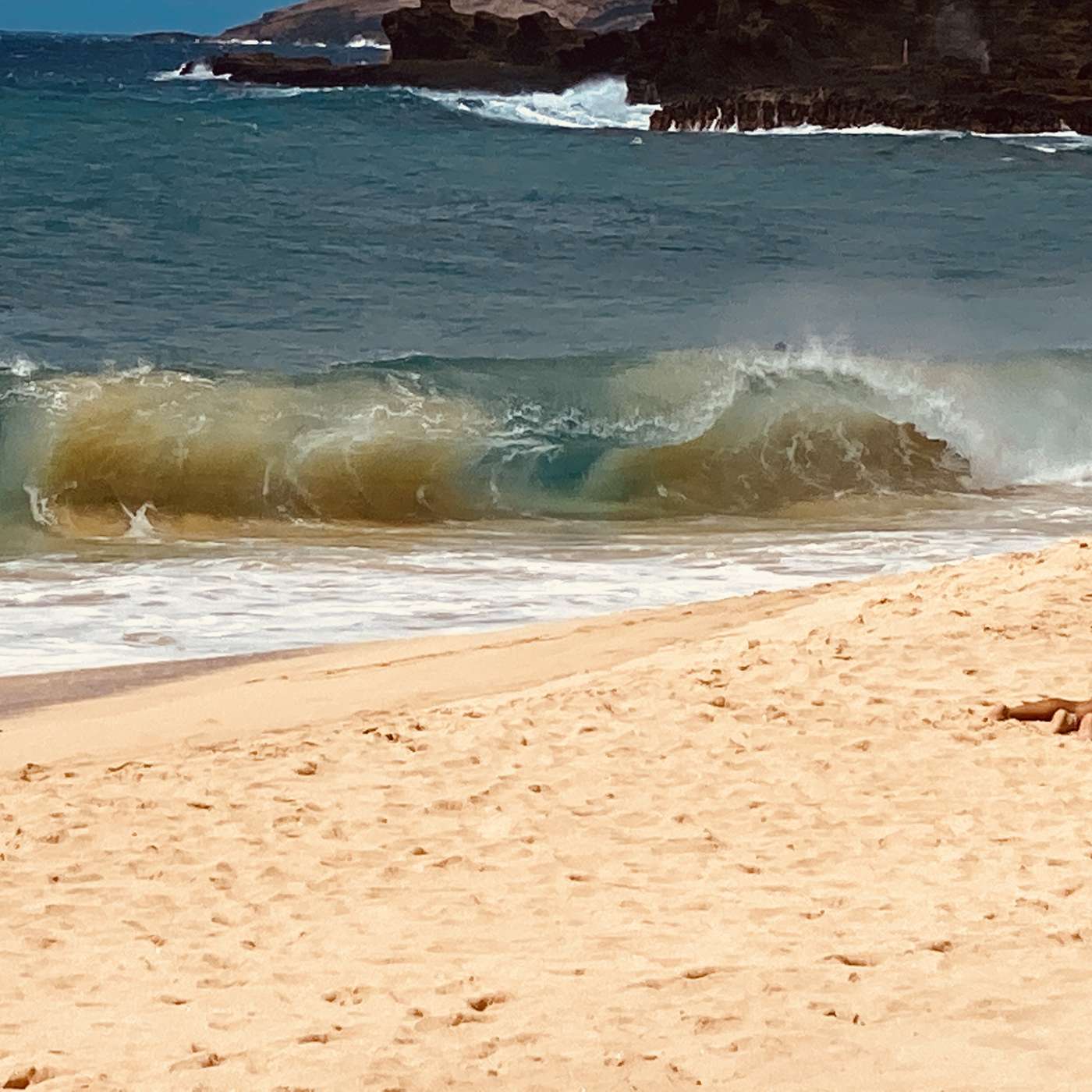 Held at Gunpoint: Beauty, Madness & the American Circus