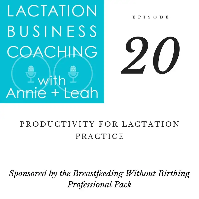 20 | Productivity for Lactation Private Practice