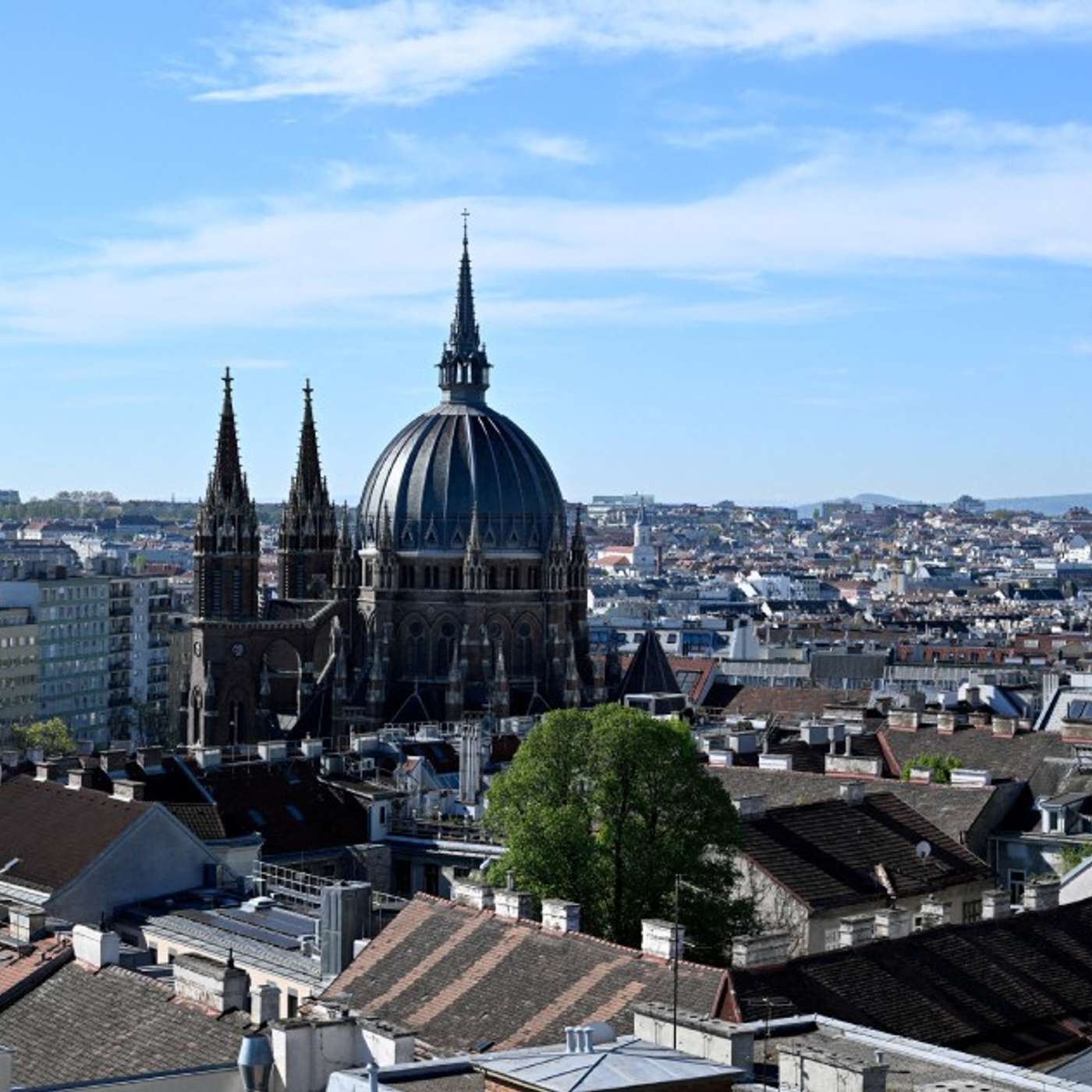 Austria Attracts U S Scientists, Ancient Skull Alters Human Timeline, Lysosomal Activity Influences Longevity, NISAR Satellite Reveals U.S. Landscapes, and more...