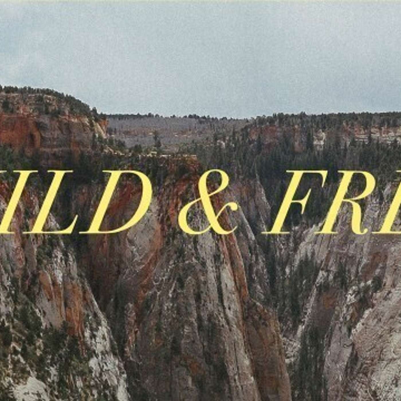 Into the Wild (and Free)