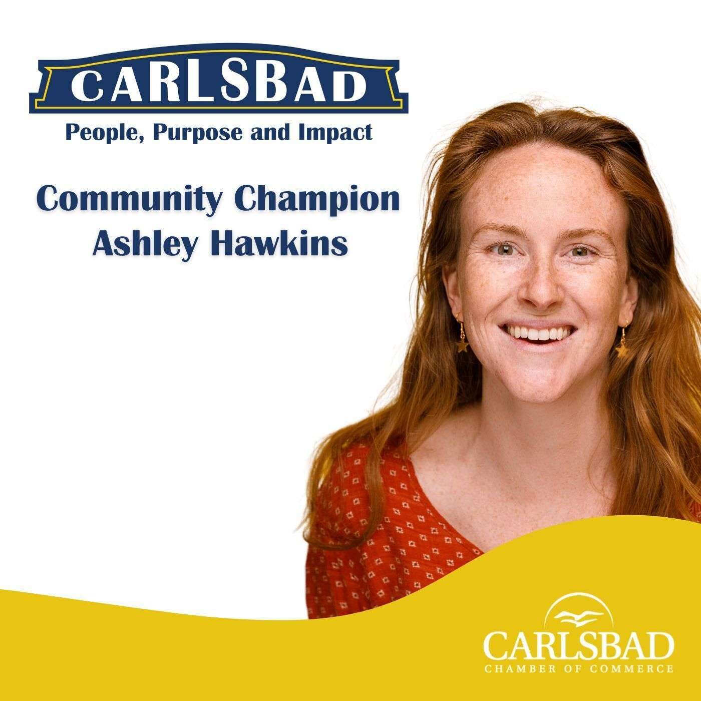 095: Meet Ashley Hawkins - Director of Childcare at Bitchin' Sauce episode artwork