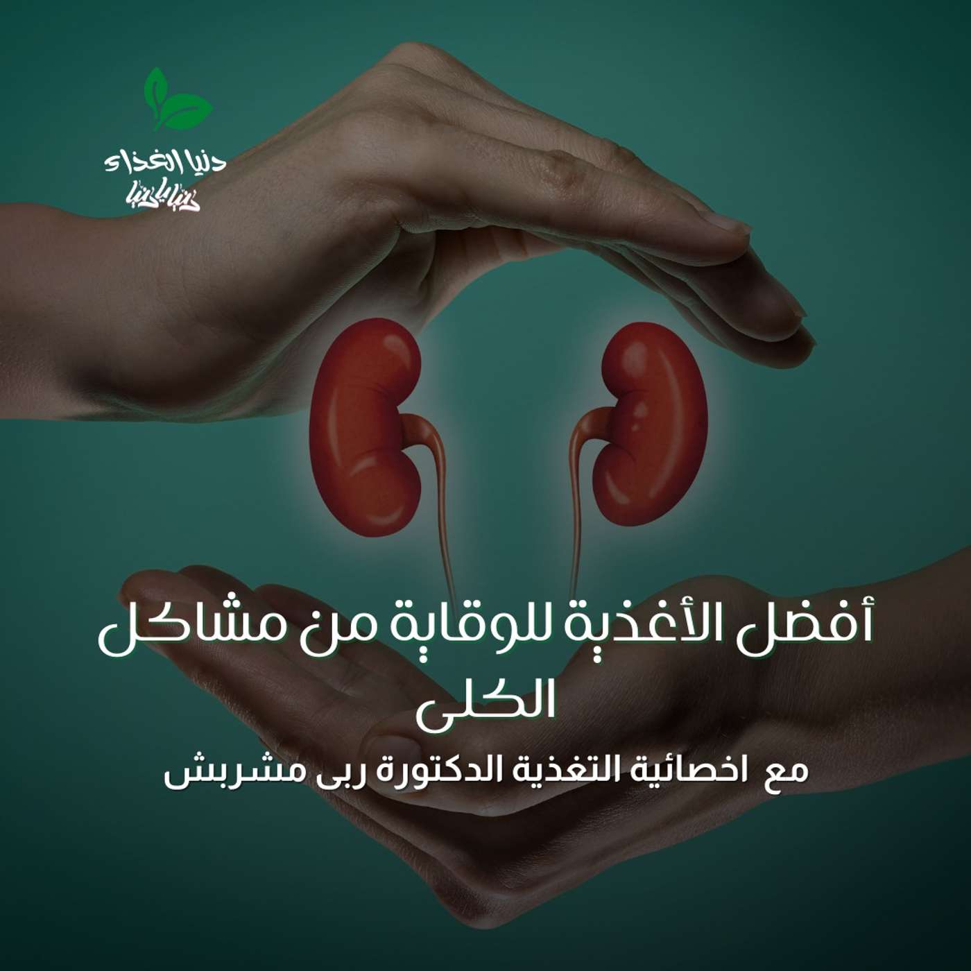 التغذية وصحة الكلى : أفضل الأغذية للوقاية من مشاكل الكلى