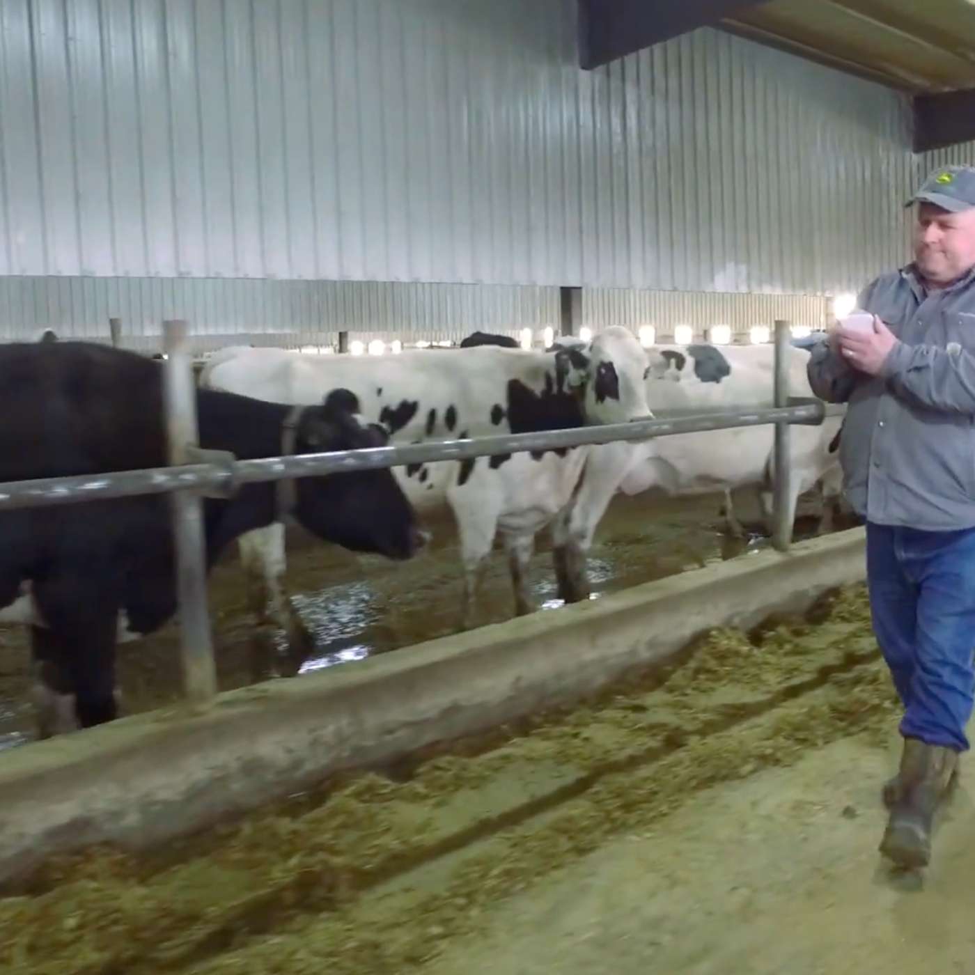 Dairying in Dakota - the Rodney Elliott Story
