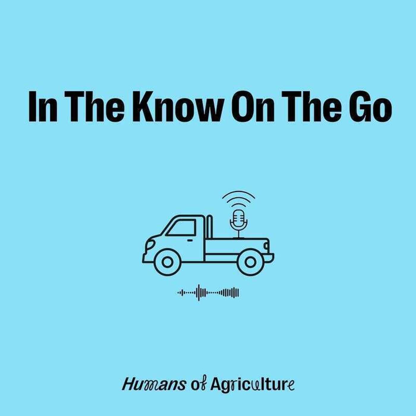 In The Know: Carbon Shortcuts episode 4 of 4! 🤝