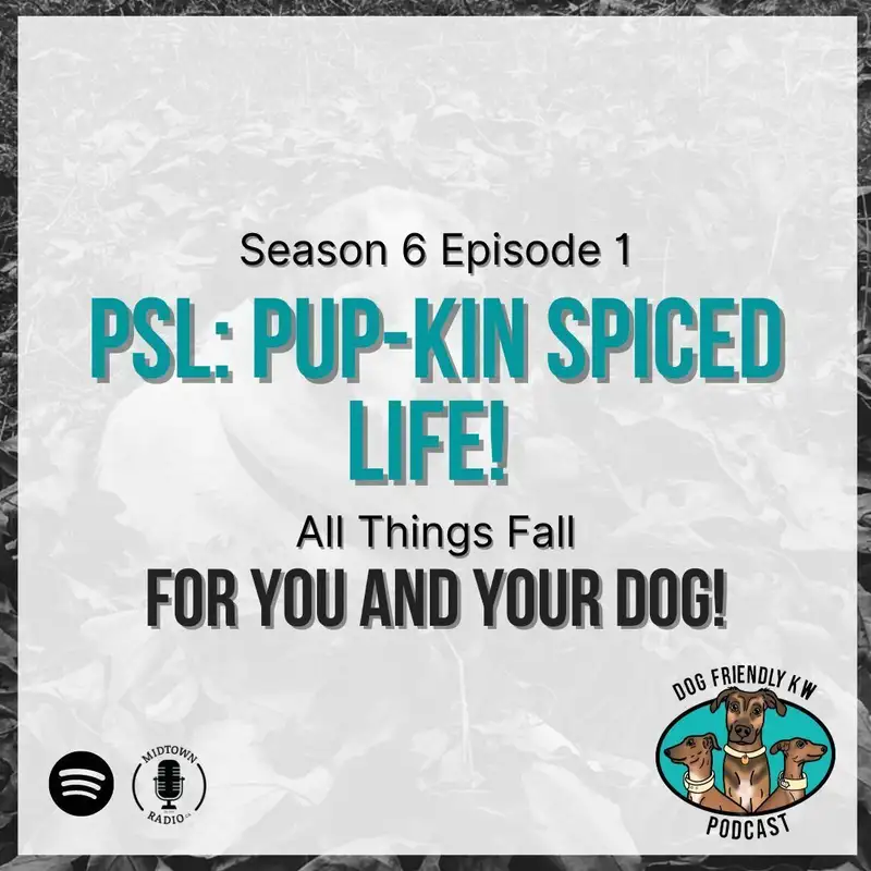 Full Episode: Pup-kin Spiced Life! ALL THINGS FALL for you and your dog