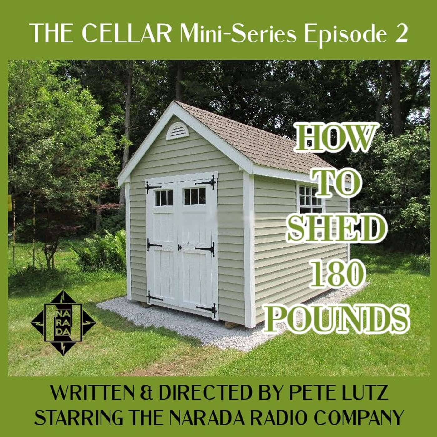 Transcontinental Terror #5.8: The Cellar Mini-Series Ep 2: How to Shed 180 Pounds episode artwork
