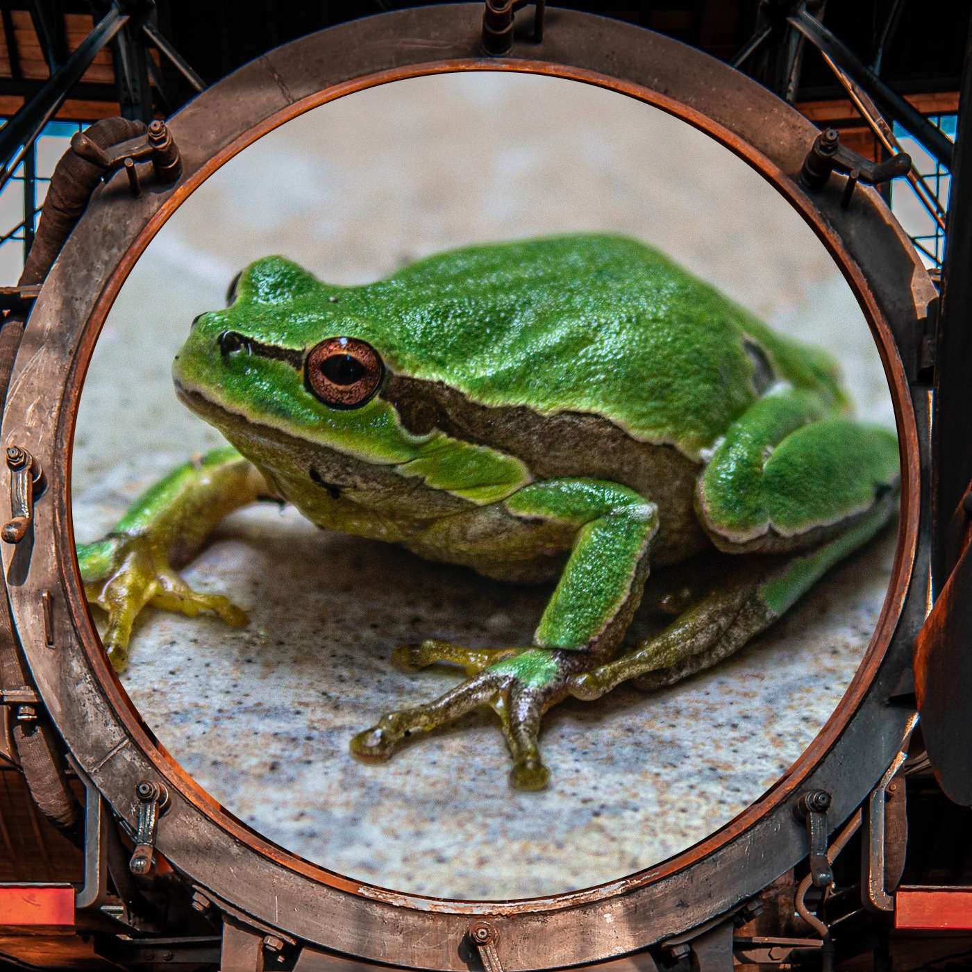 Who Says Words Can't Hurt? Who Says Words Can't Hurt?