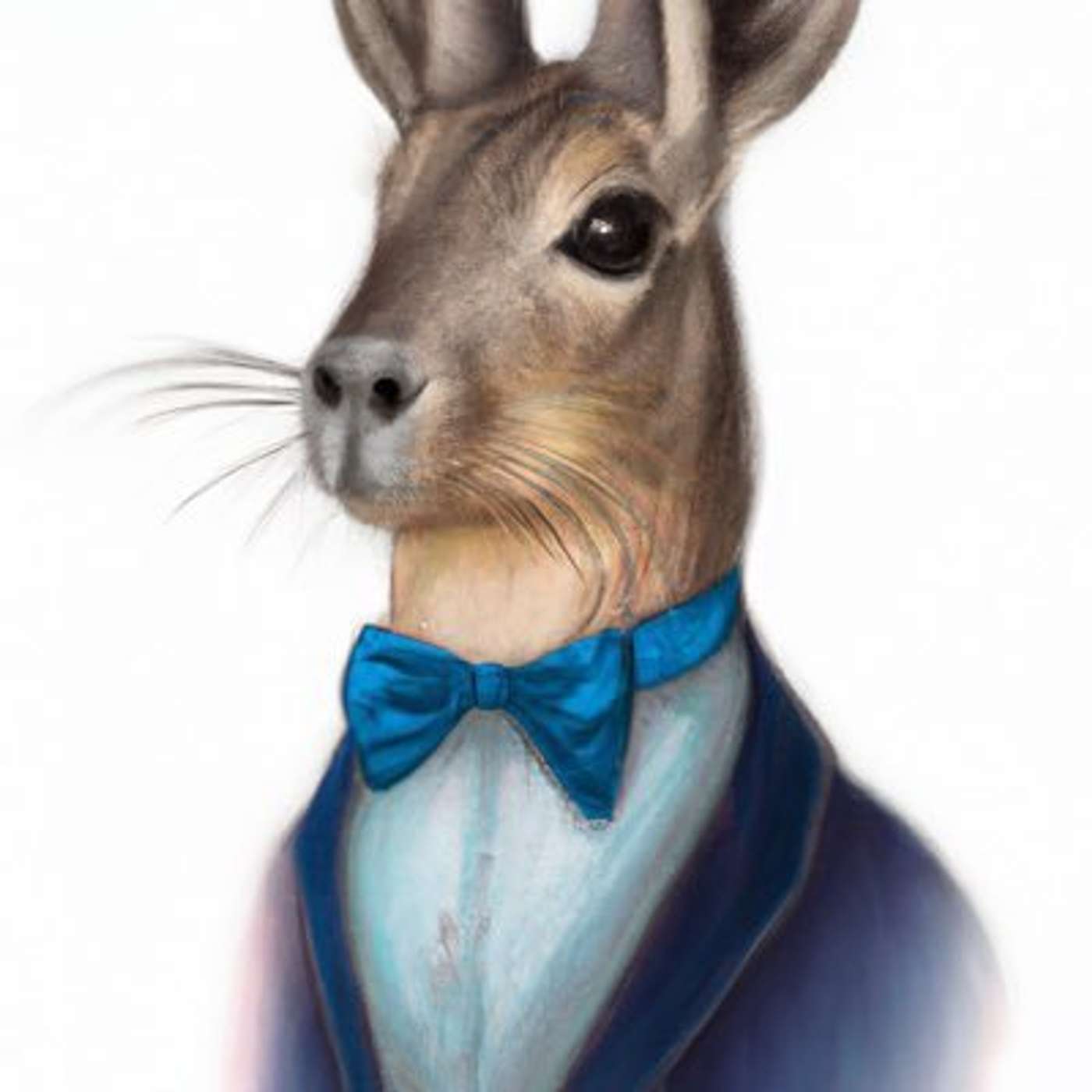 Between Two Americas: A Tale of Argentina and Brazil with BowTiedMara