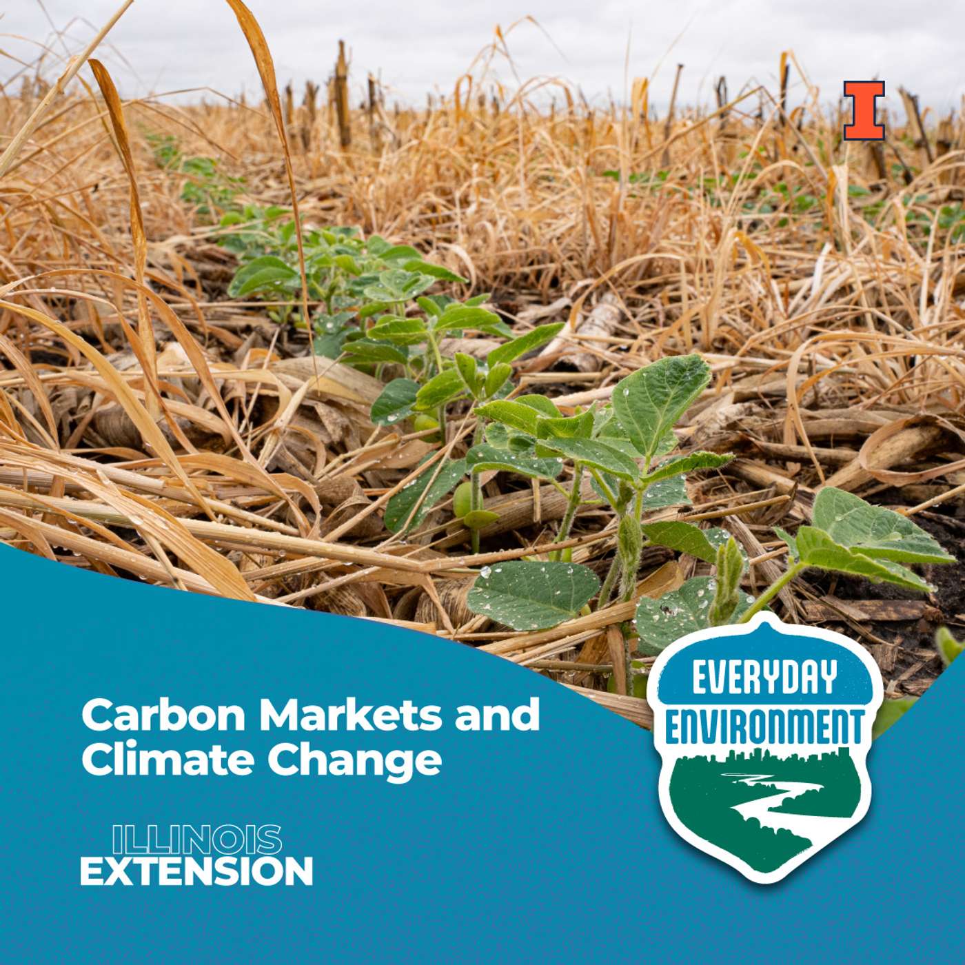 Exploring carbon markets as part of emissions reduction goals