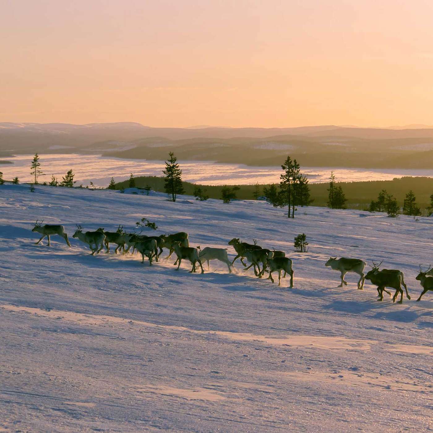 Traditional Solstice Celebration: Looking back and looking forward with Della Duncan and Nathalie Nahai