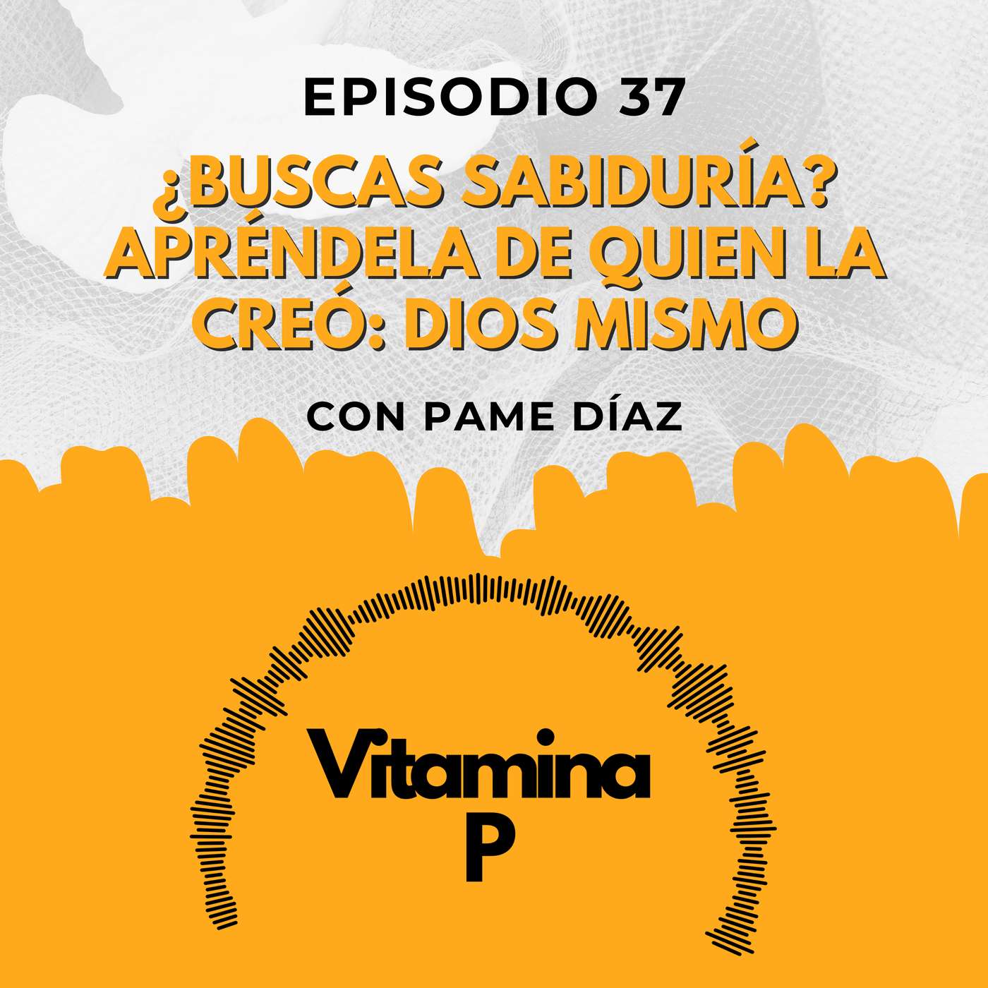 ¿Buscas sabiduría? Apréndela de quien la creó: Dios mismo en Job 28 ¿Buscas sabiduría? Apréndela de quien la creó: Dios mismo en Job 28
