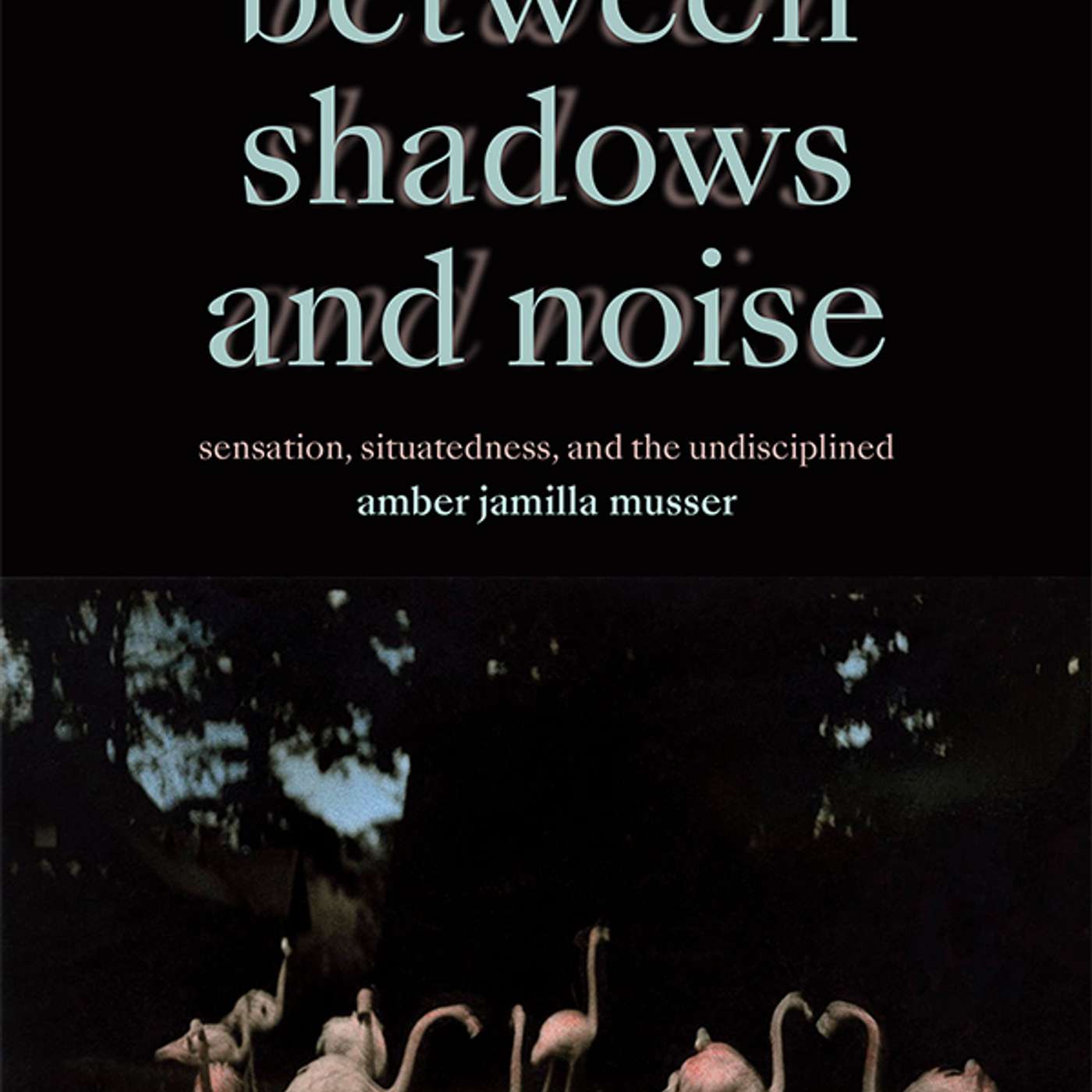 Amber Jamilla Musser on Between Shadows and Noise: Sensation, Situatedness, and the Undisciplined