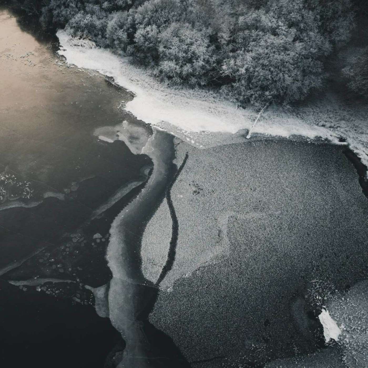 The Ten Thousand Things