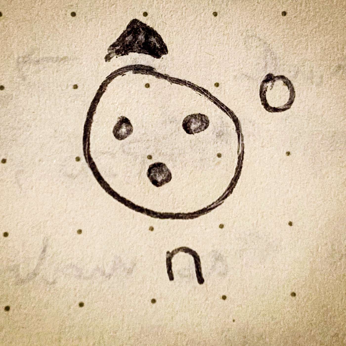 The Field Guide to Particle Physics