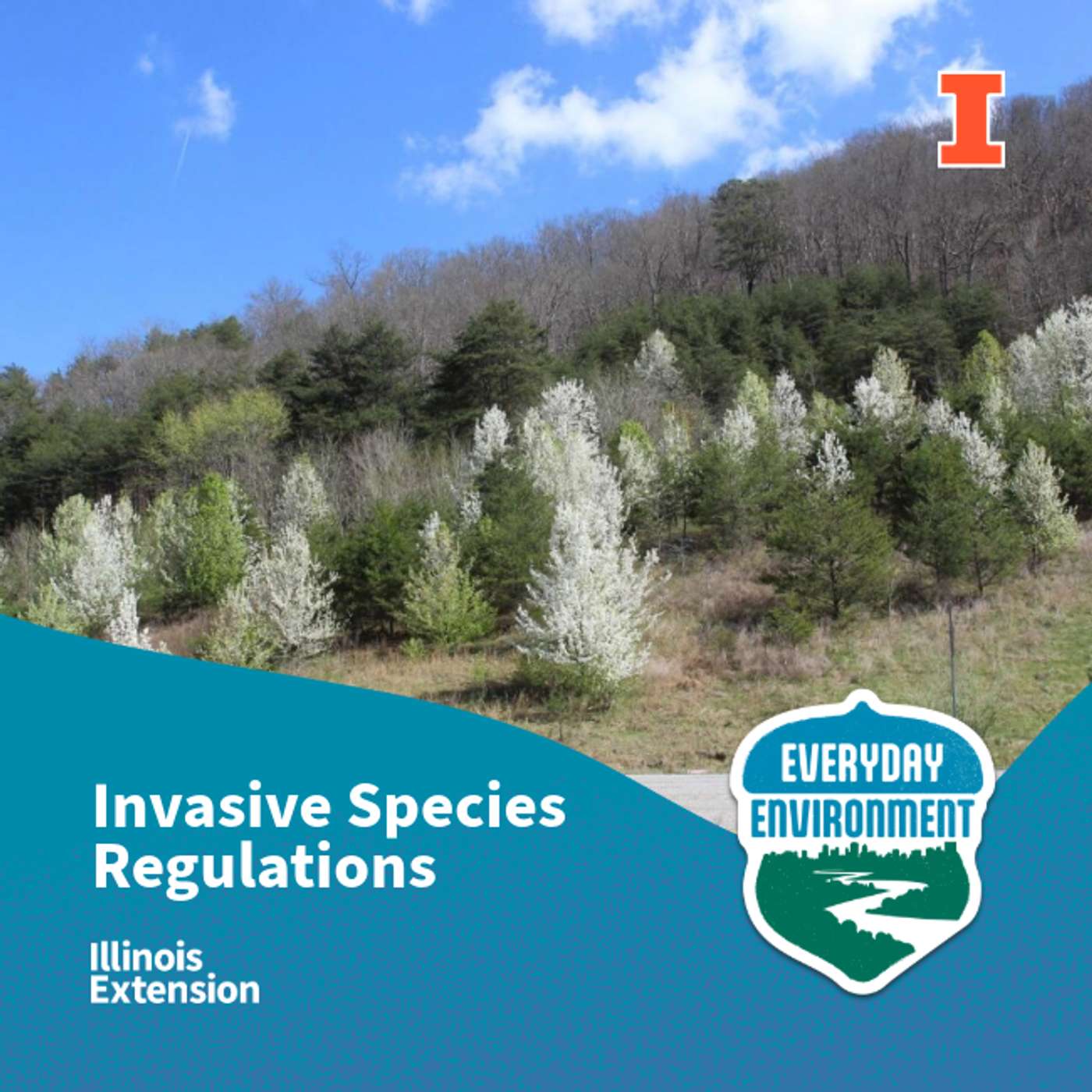 Breaking down invasive species rules & regulations with Chris Evans