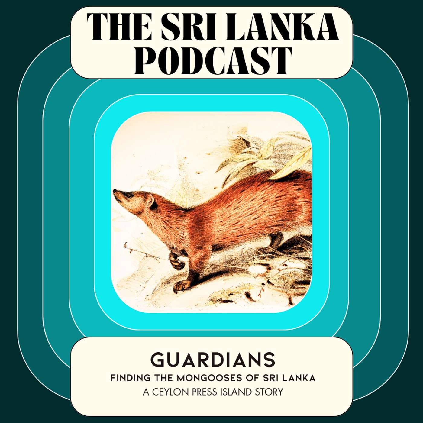 Guardians: Finding The Mongooses of Sri Lanka. A Ceylon Press Island Story episode artwork