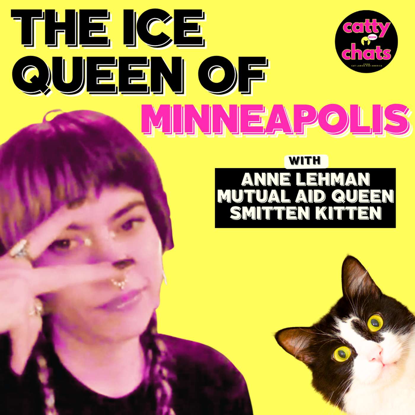 The Ice Queen of Minneapolis episode artwork