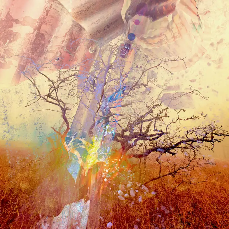 Everyone's a 10, and We Are All One