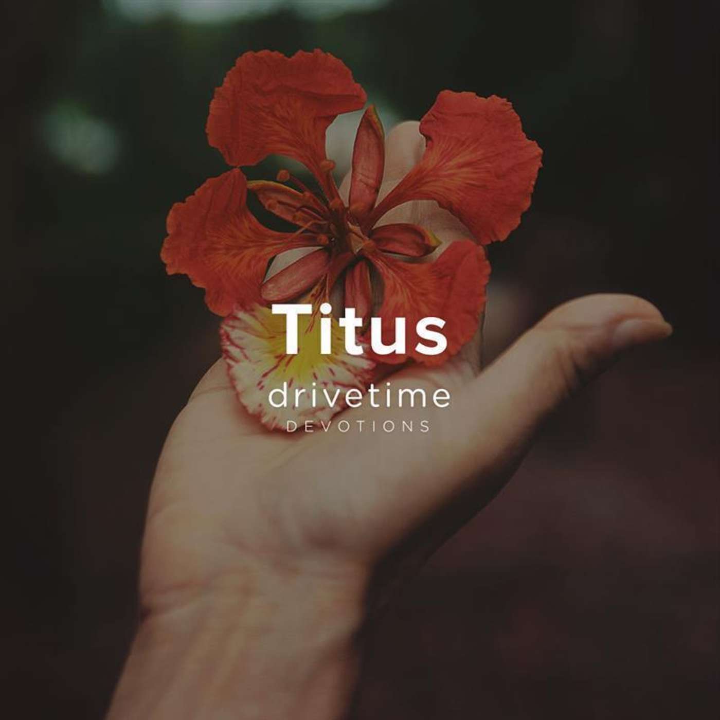 Titus - Week 3 Day 1 episode artwork