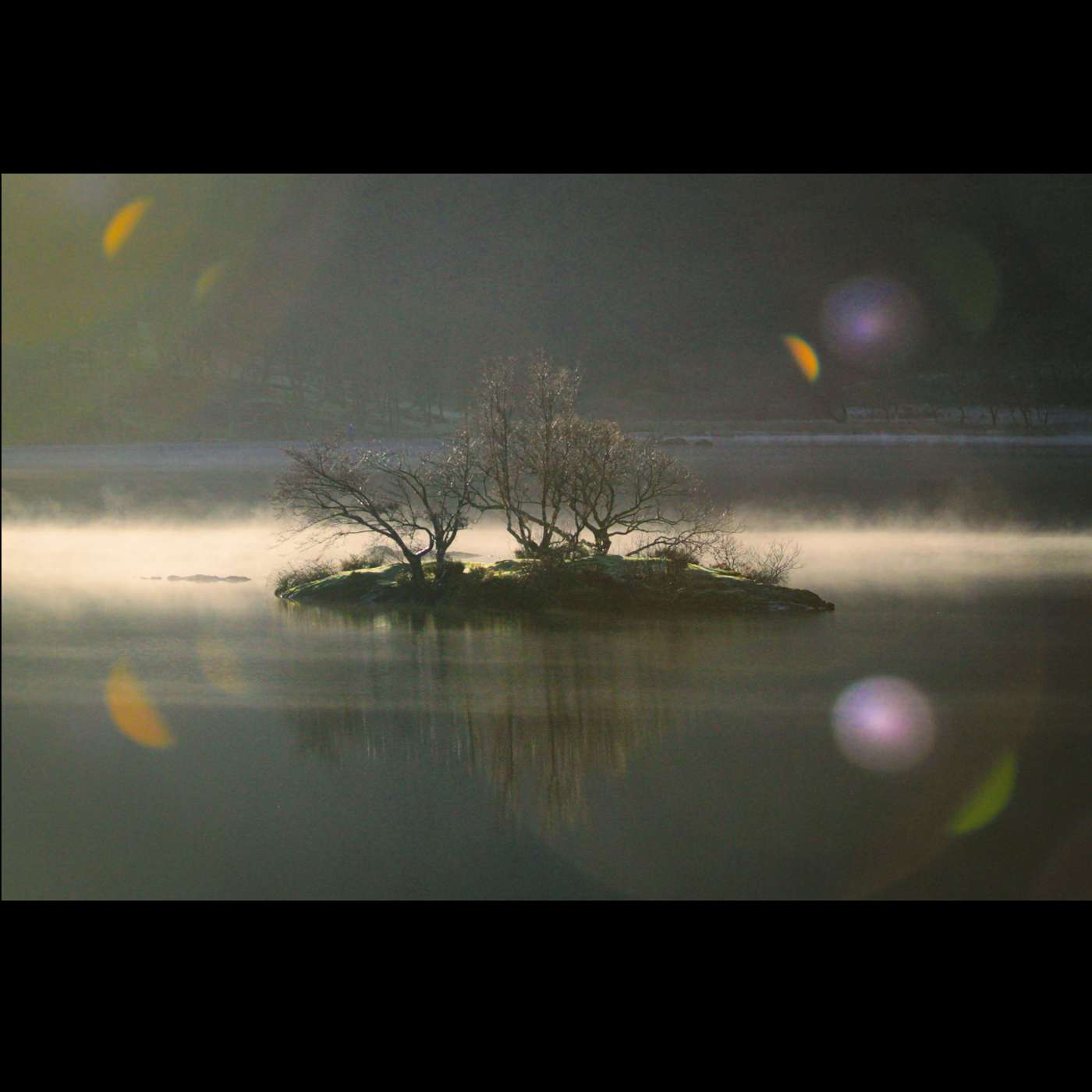 The Ten Thousand Things