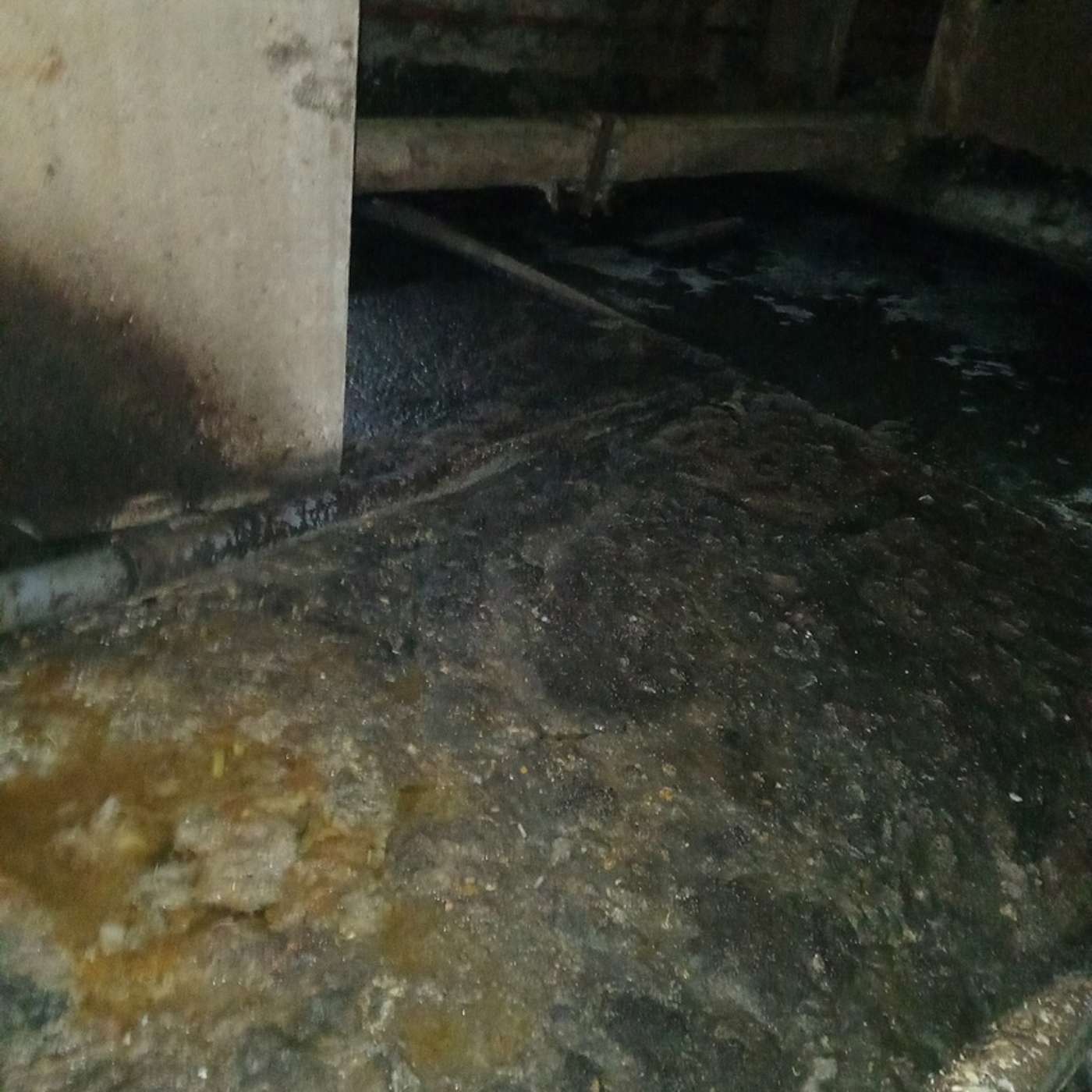 Жительница Сафоново, Мурманская область: “Не бомбоубежище, а газовая камера”