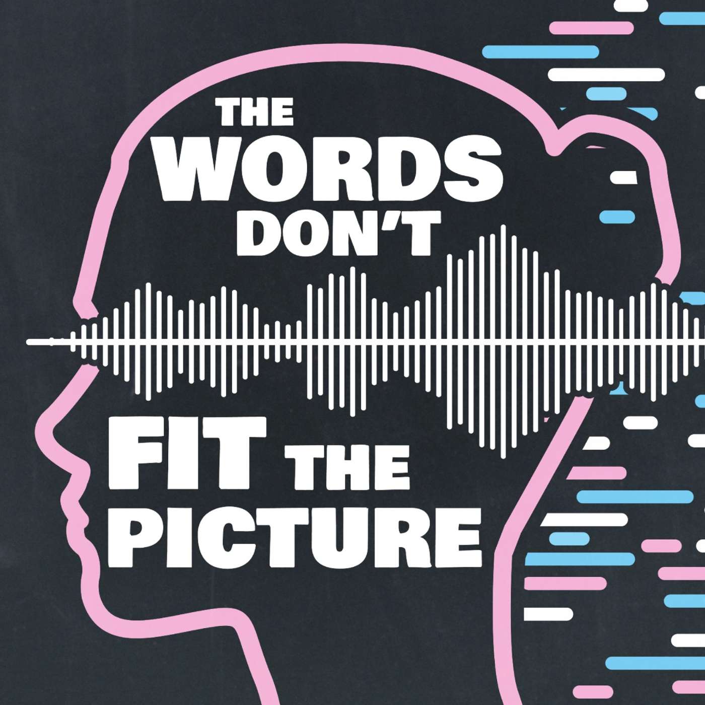The Words Don’t Fit the Picture: Gender vs. Voice