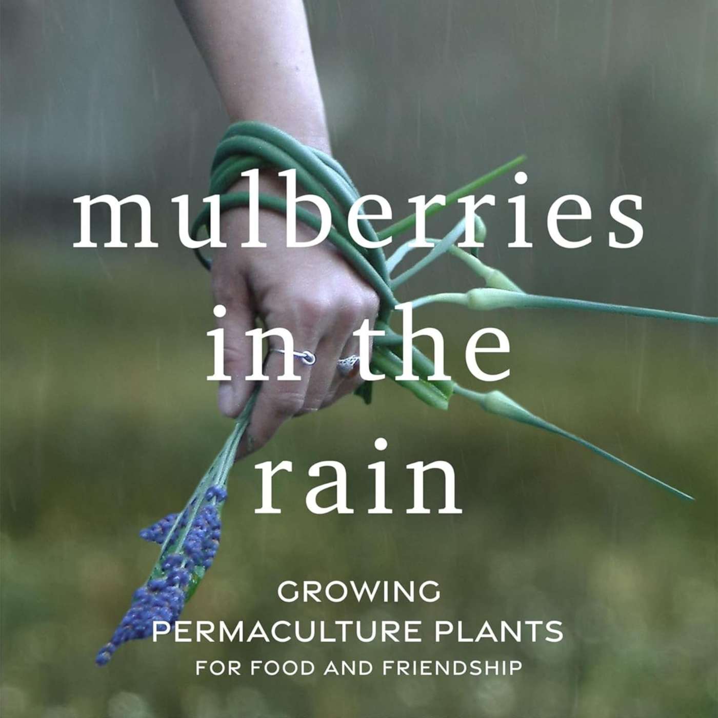 Companion Planting Fruit Trees with Ryan Blosser