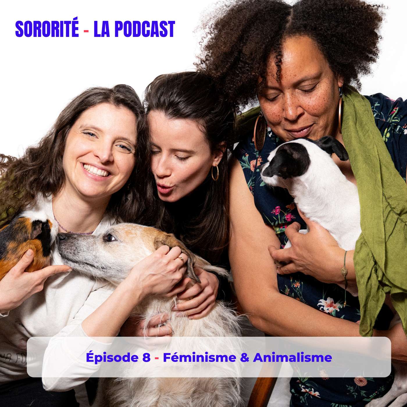 Épisode 8 - Féminisme & Animalisme