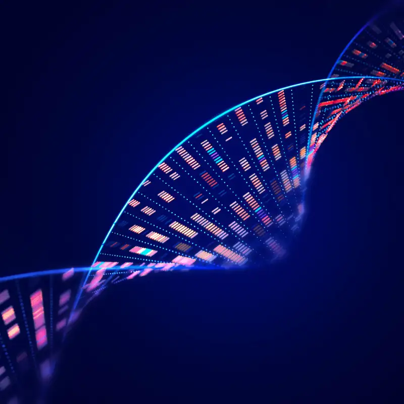 Milton Friedman's Vision: A ‘Plan for America’ and the Future of Entitlements