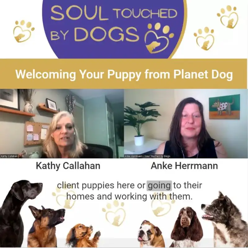 Kathy Callahan - Welcoming Your Puppy from Planet Dog