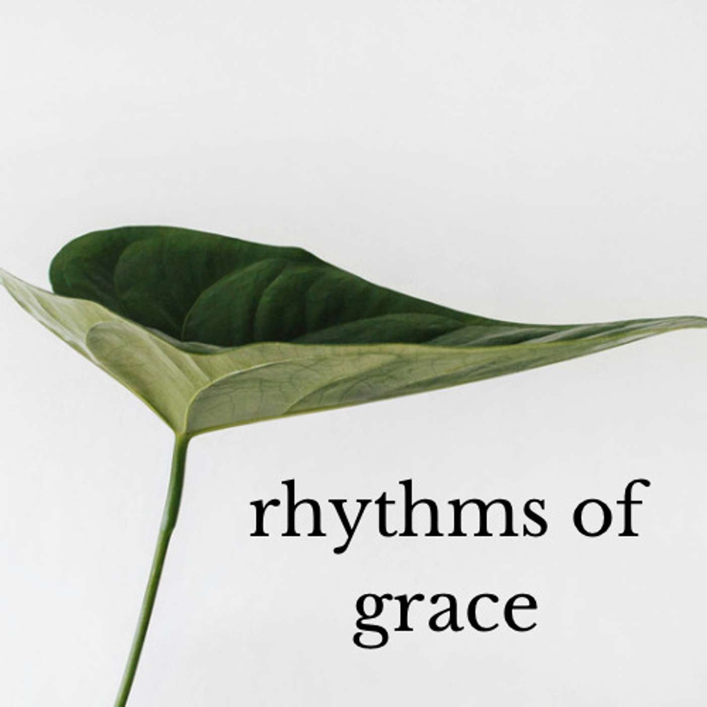 Rhythms Of Grace - Scripture episode artwork