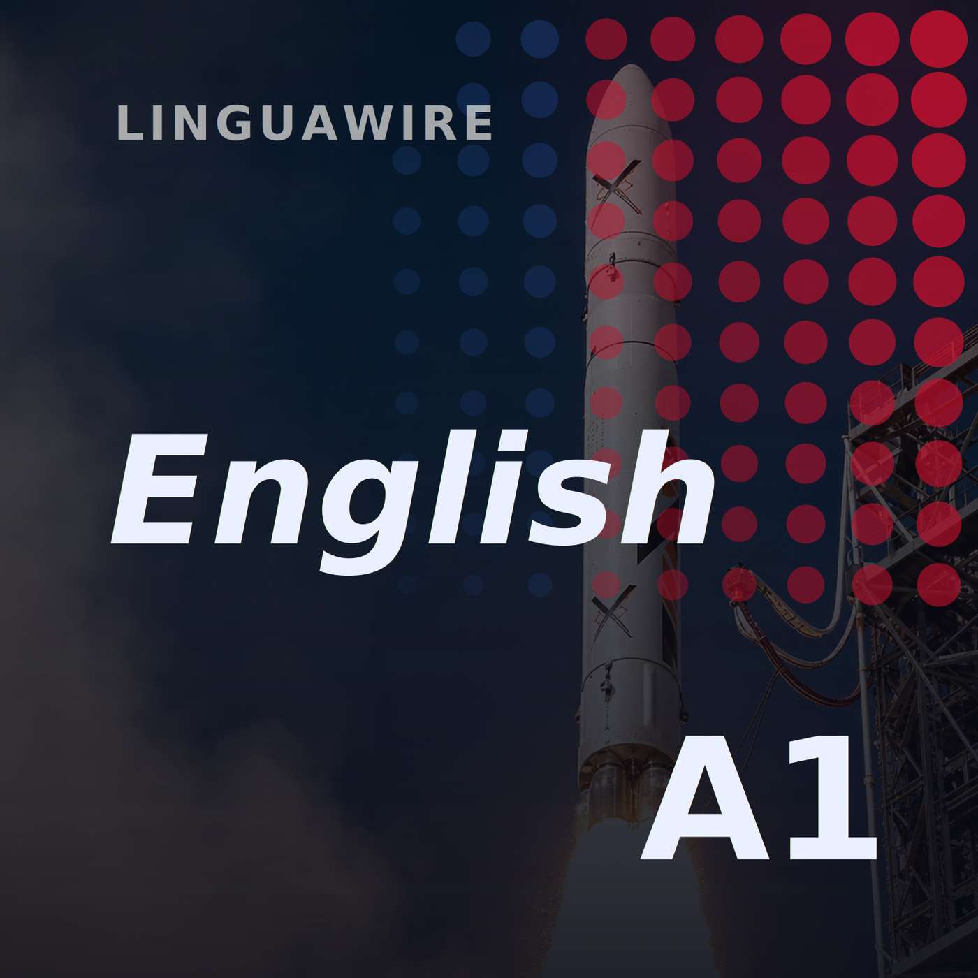 A1 English News | India's First Private Rocket Reaches Orbit