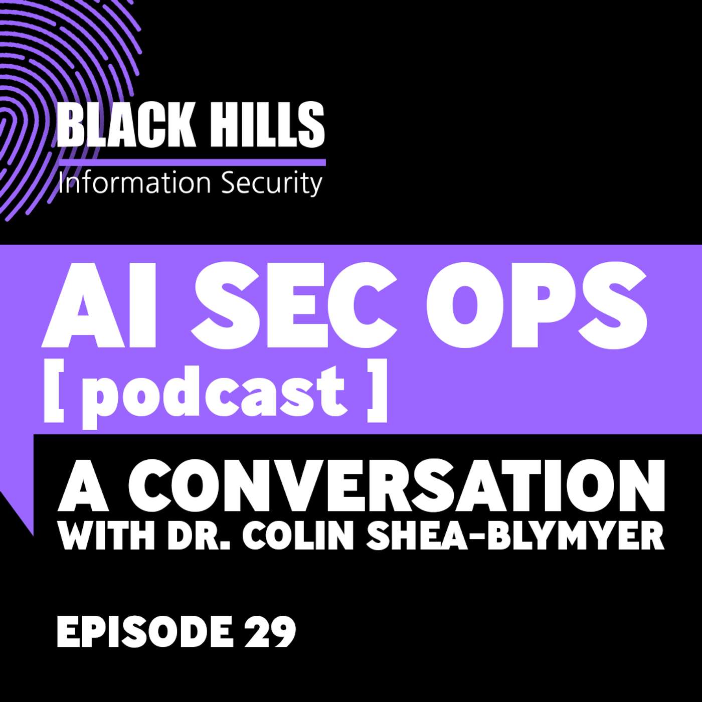 A Conversation with Dr. Colin Shea-Blymyer  | Episode 29
