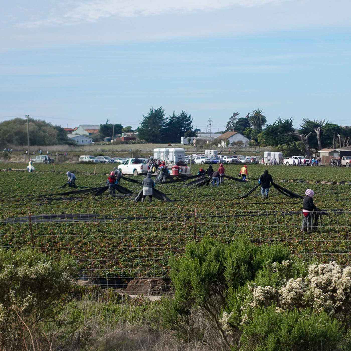 Noticias Watsonville