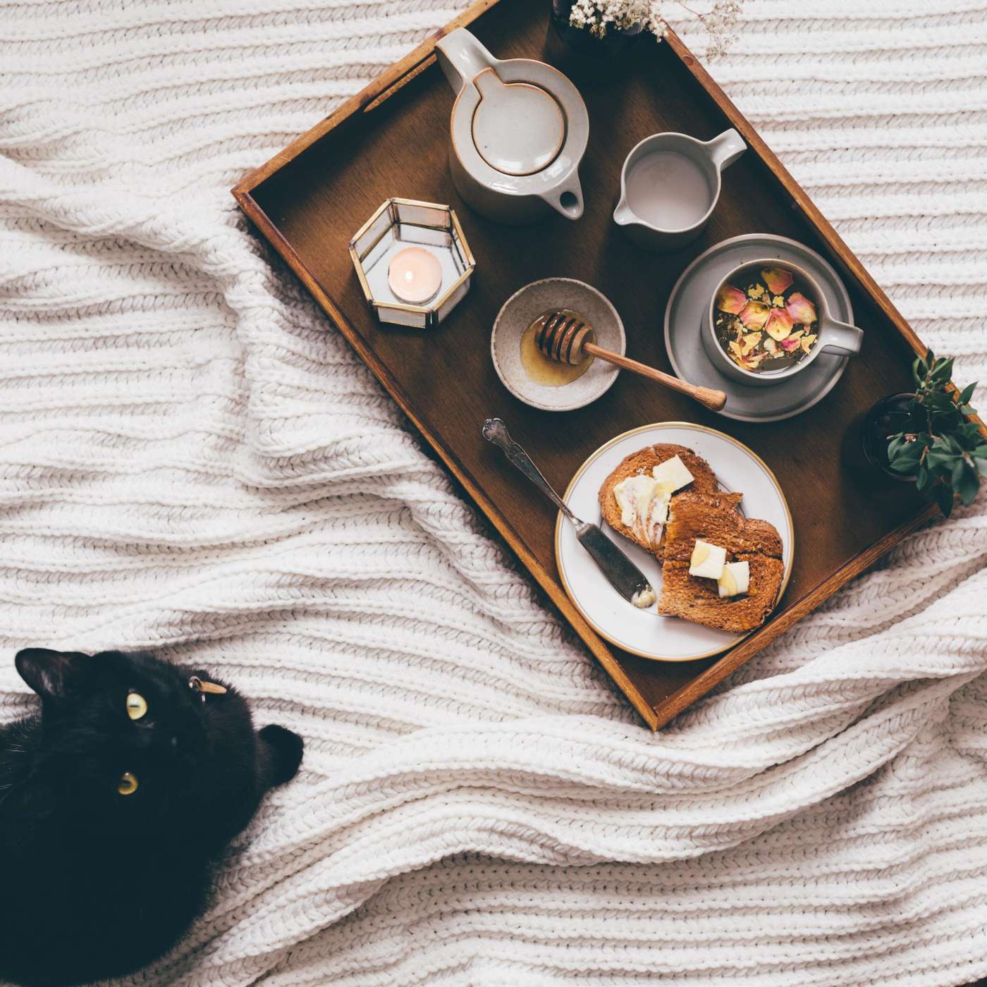 Pussy and a Plate episode artwork