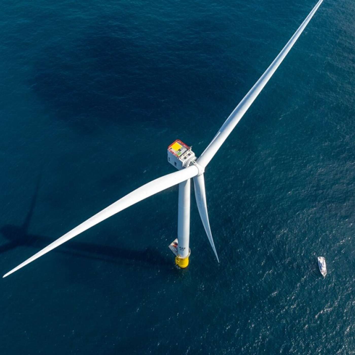 College Football Loses Coach Clark, Revolution Wind Project Reinstated, NASA Selects 10 New Astronauts, Woman Faces Major Animal Cruelty Charges, and more...