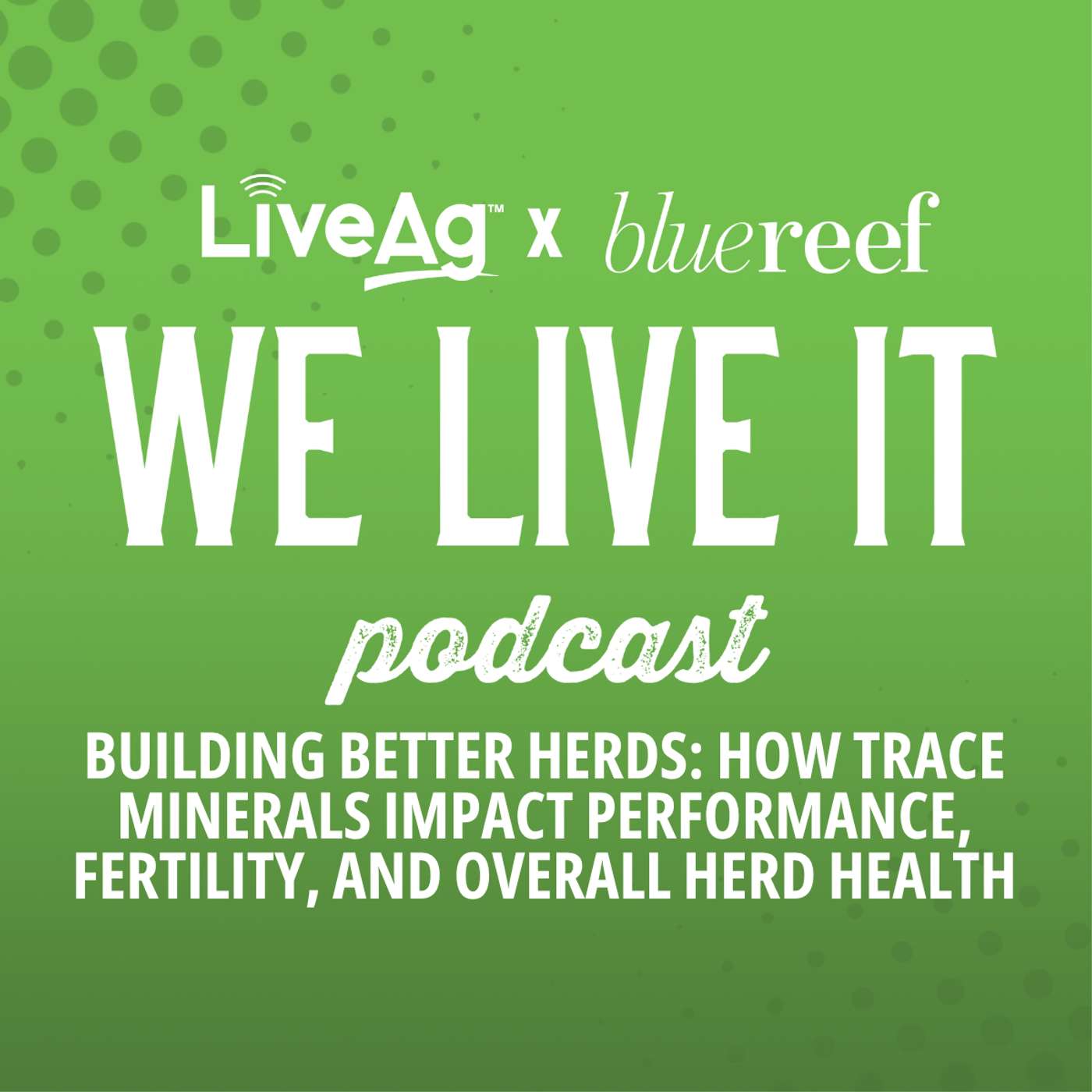 We Live It | LiveAg\'s Livestock Marketing Podcast