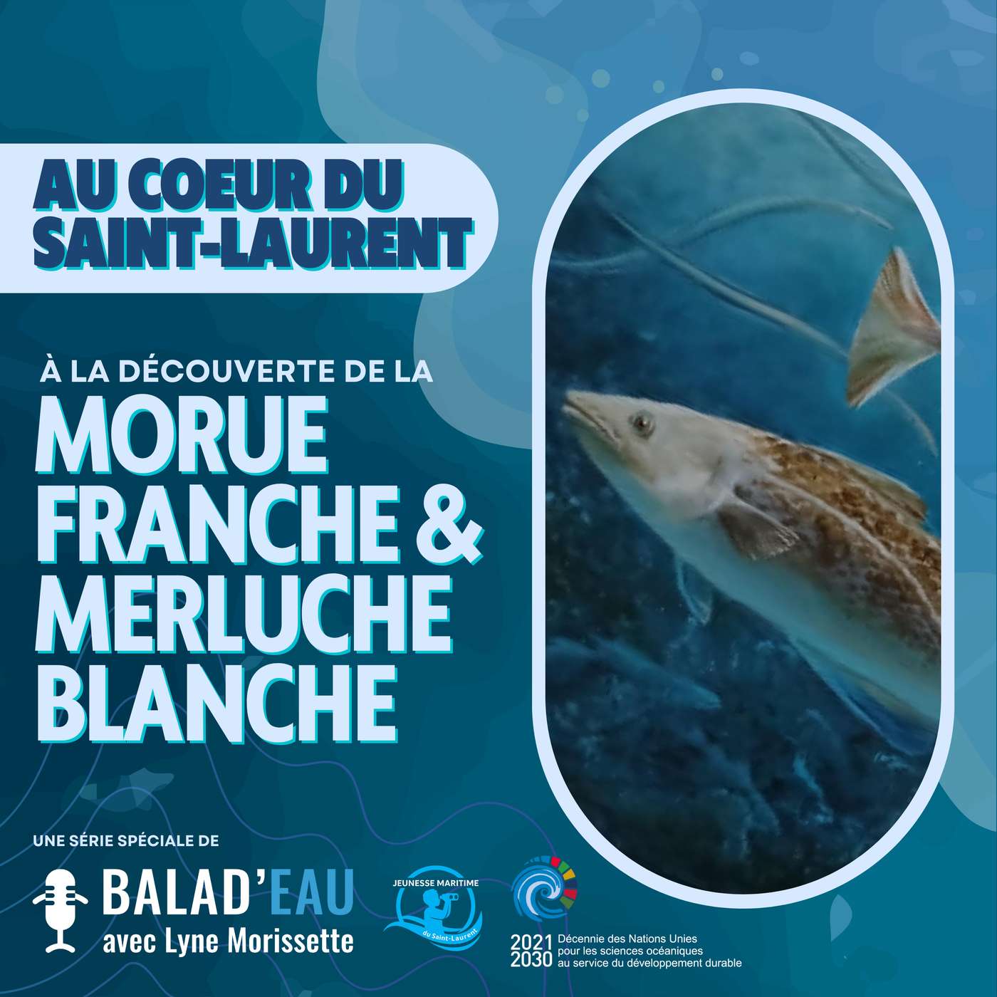AU COEUR DU SAINT-LAURENT: à la découverte de la MORUE FRANCHE et de la MERLUCHE BLANCHE