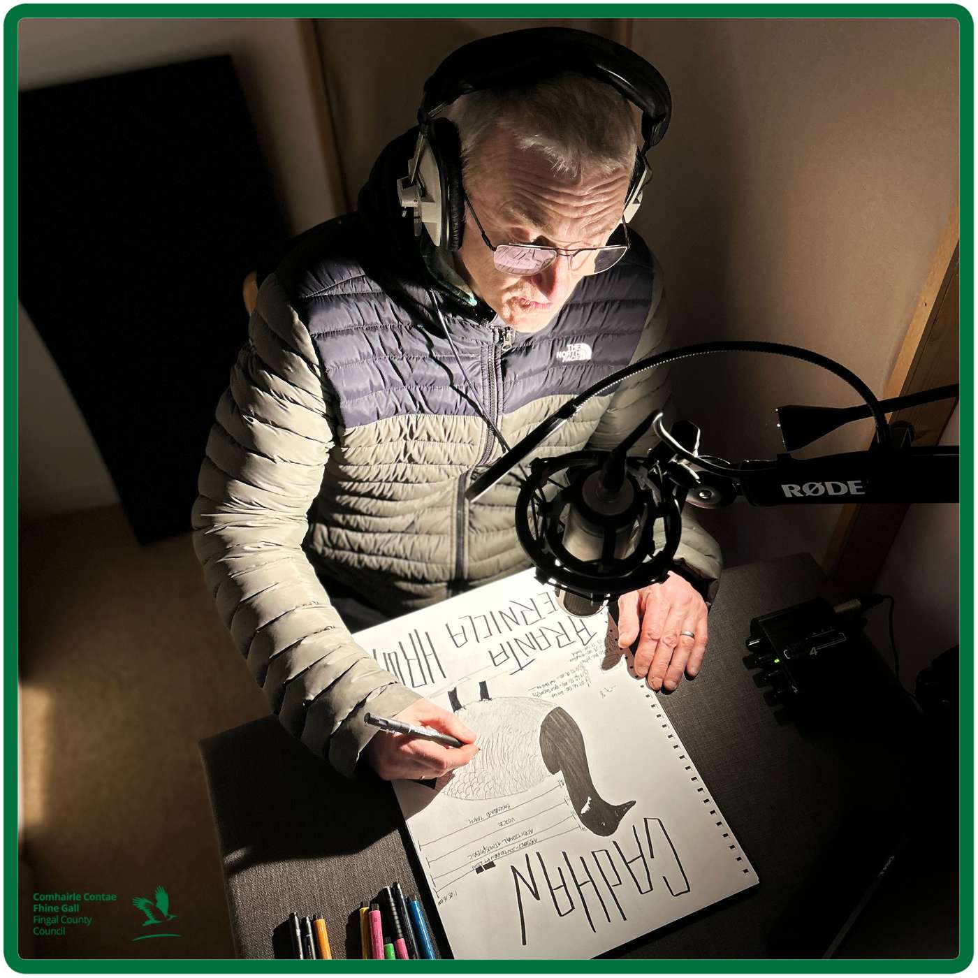 SPARROWHAWK - ACCIPITER NISUS