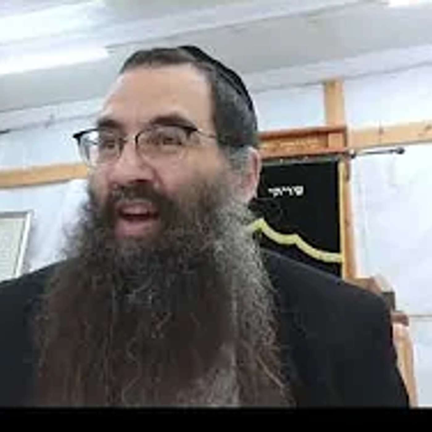 הרב עובדיה יוסף  | פרשת דברים|   כאשר תעשנה הדבורים   היו מתים ענינו episode artwork