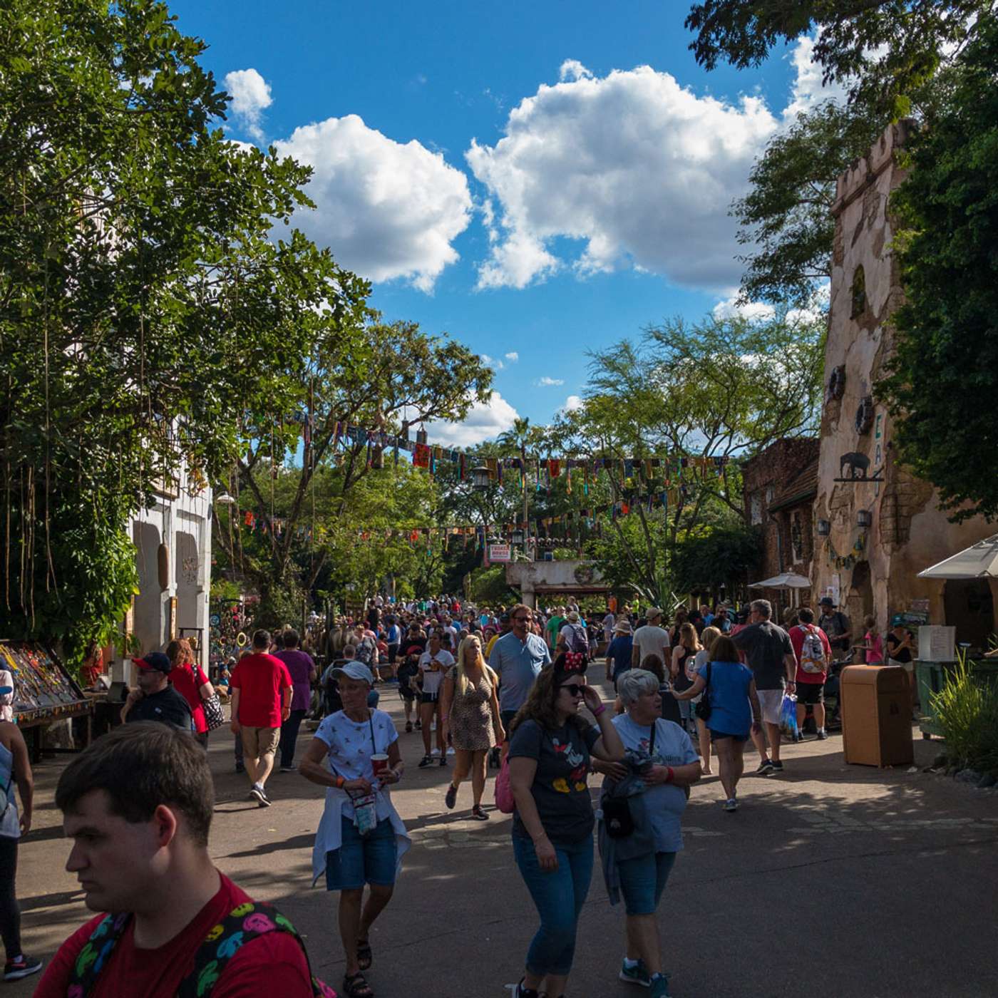 Episode 123: Discovering Animal Kingdom Africa episode artwork