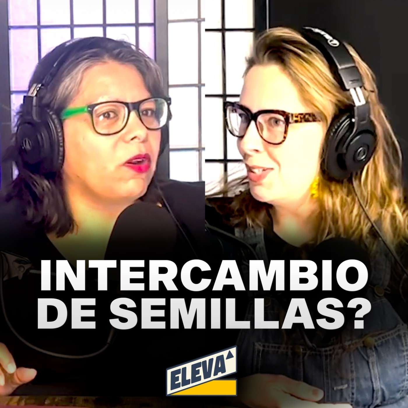 Como Crecer, Intercambiar Semillas, y Ayudar a la economía local, para un futuro mejor! episode artwork