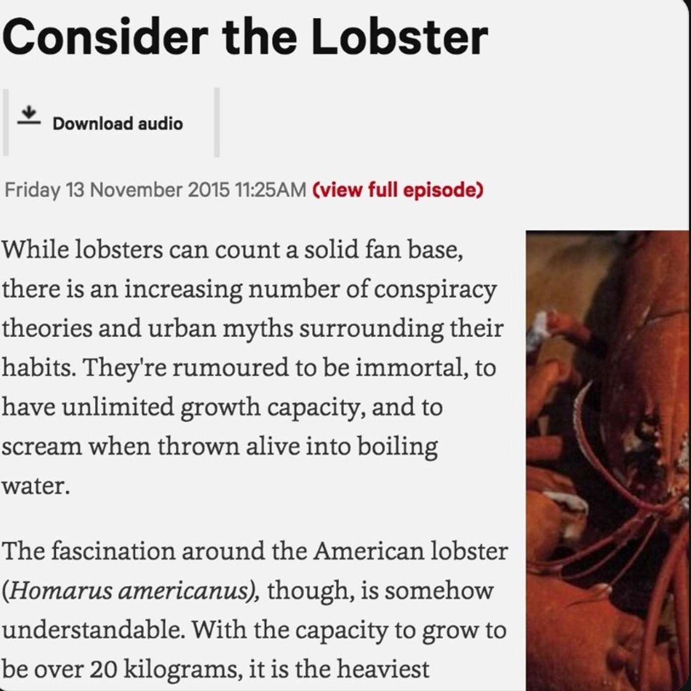 Consider the lobster