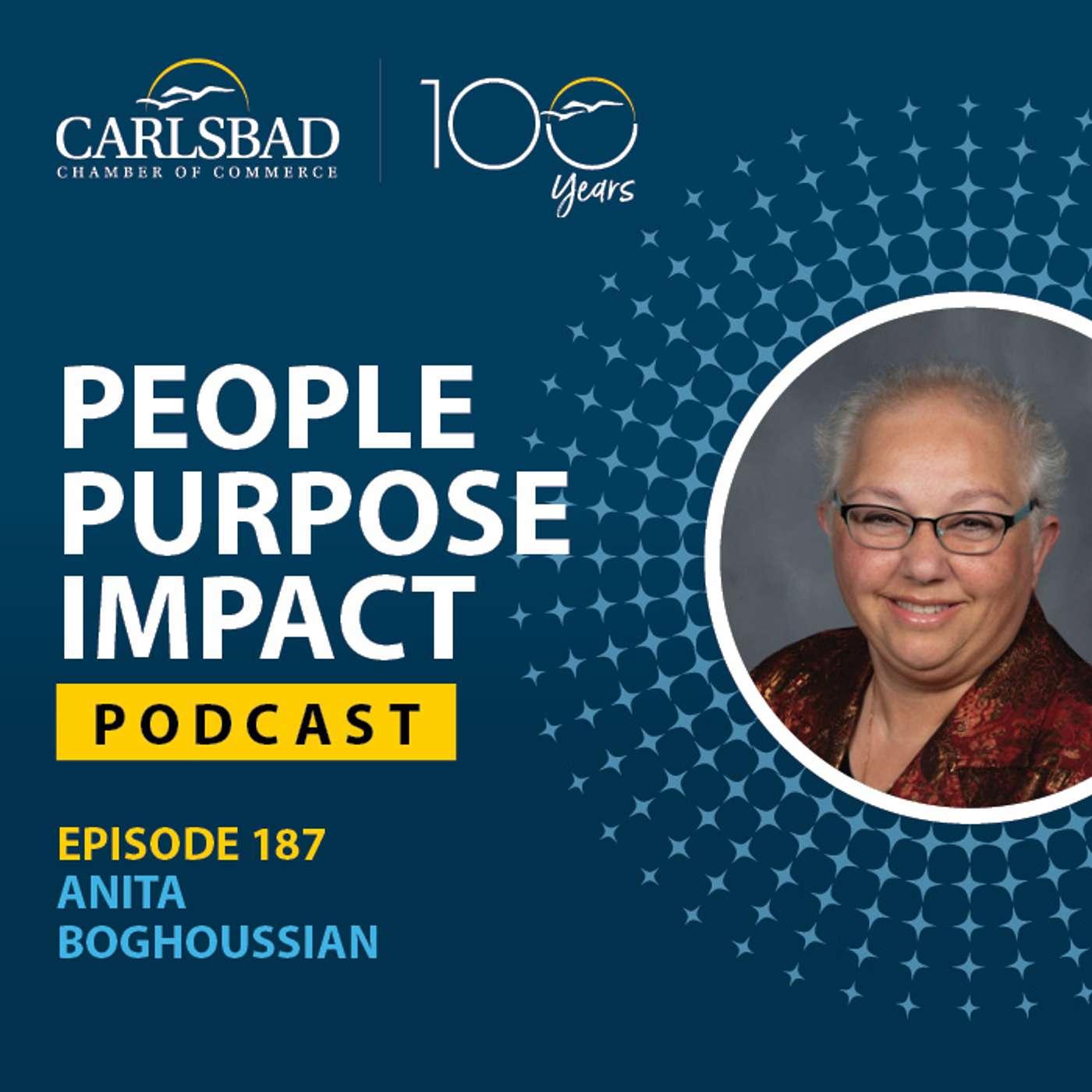 Episode 187: From Tech Executive to Trusted Financial Advisor: Anita Boghoussian's Journey