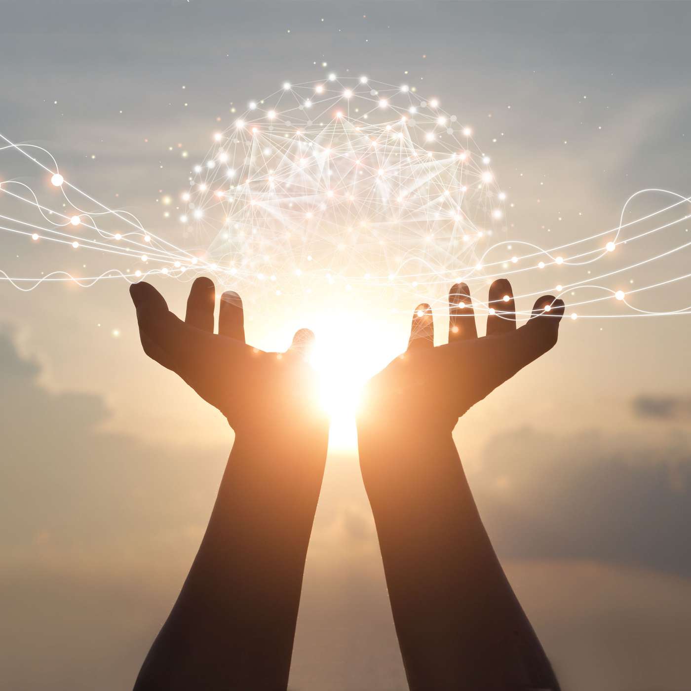 Meshworks of Being: Building Community on the DAO with Grace Rachmany of Priceless DAO