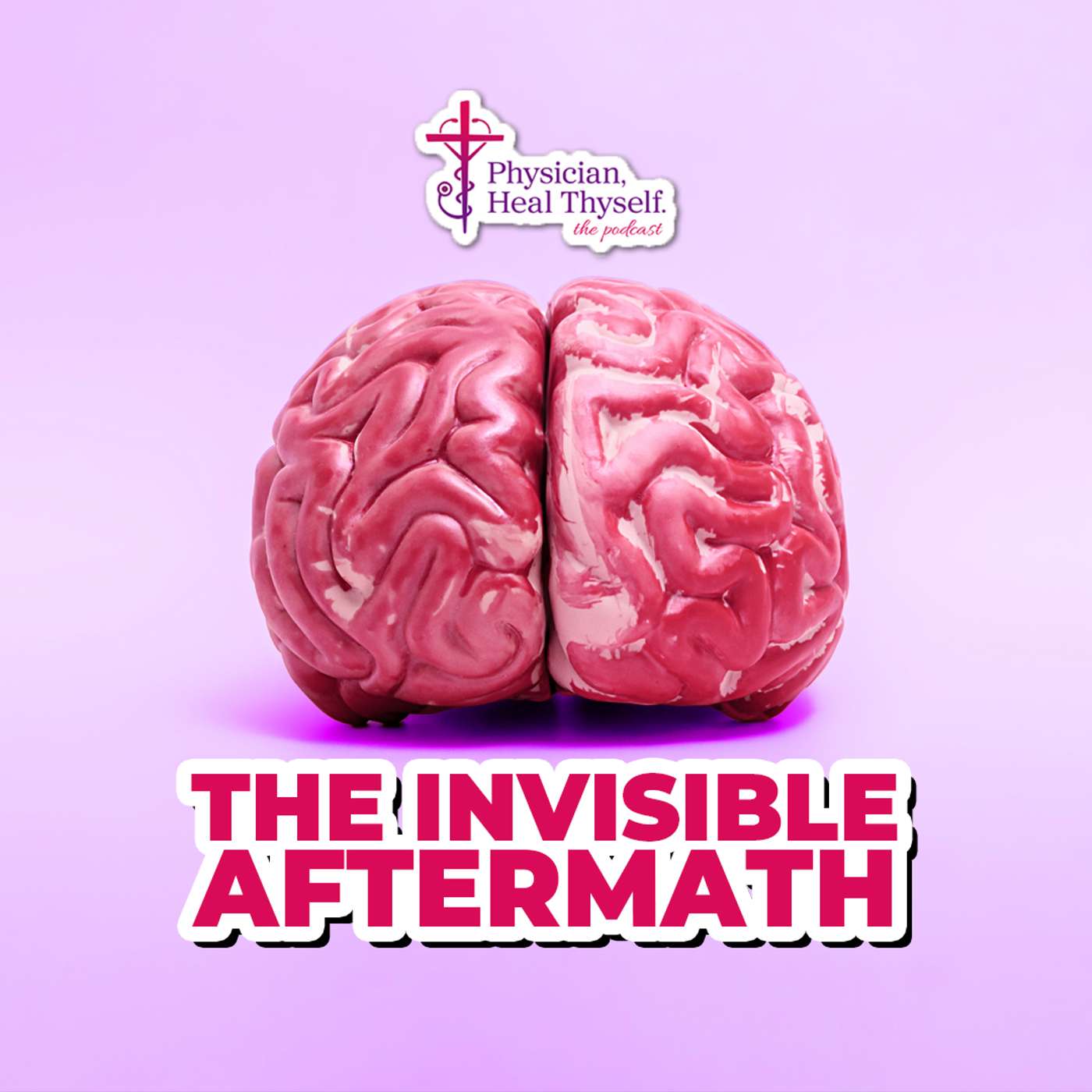 EP 99: The Invisible Aftermath: How Concussions & TBIs Rewire Your Mind, Emotions, and Behavior episode artwork